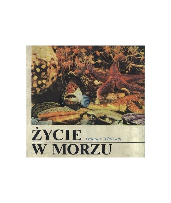 Życie w morzu