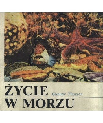 Życie w morzu