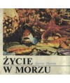 Życie w morzu