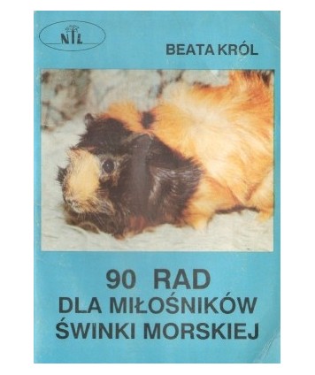 90 rad dla miłośników świnki morskiej