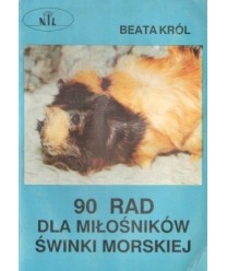 90 rad dla miłośników świnki morskiej