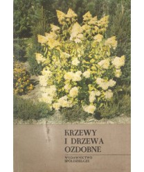 Krzewy i drzewa ozdobne