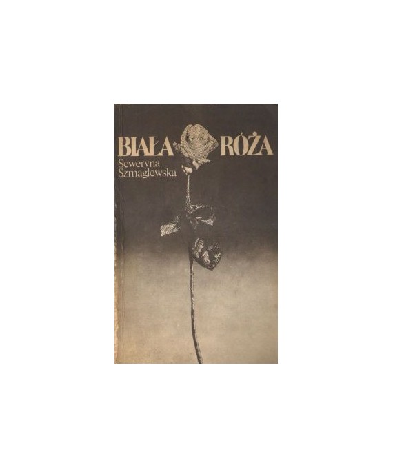 Biała róża