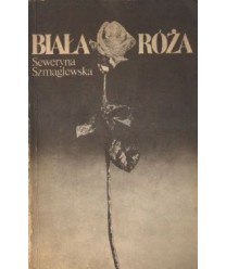 Biała róża