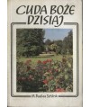 Cuda boże dzisiaj. Szkoła modlitwy wiary