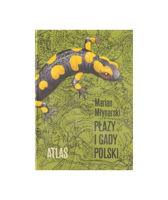 Płazy i gady Polski