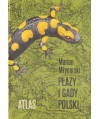 Płazy i gady Polski