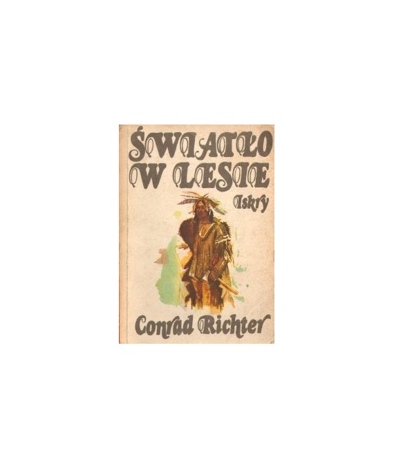 Światło w lesie