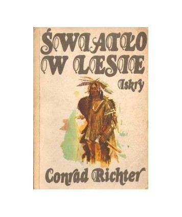 Światło w lesie