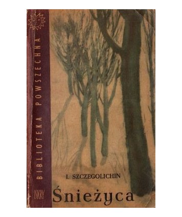 Śnieżyca