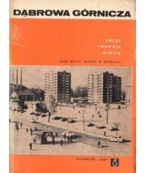 Dąbrowa Górnicza. Zarys rozwoju miasta