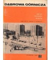 Dąbrowa Górnicza. Zarys rozwoju miasta