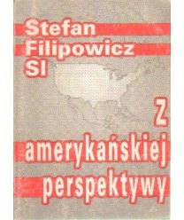 Z amerykańskiej perspektywy 1981-1990