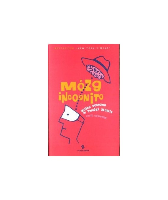 Mózg incognito. Poker z Pitagorasem