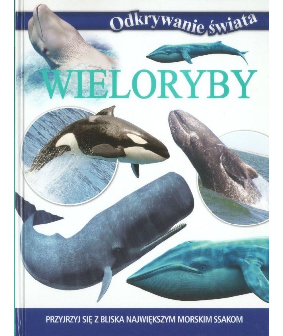 Wieloryby