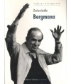 Zwierciadło Bergmana