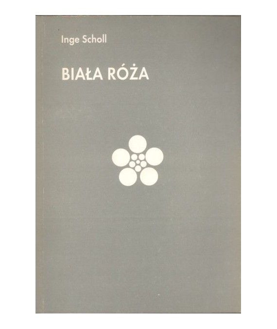 Biała róża