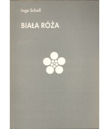 Biała róża