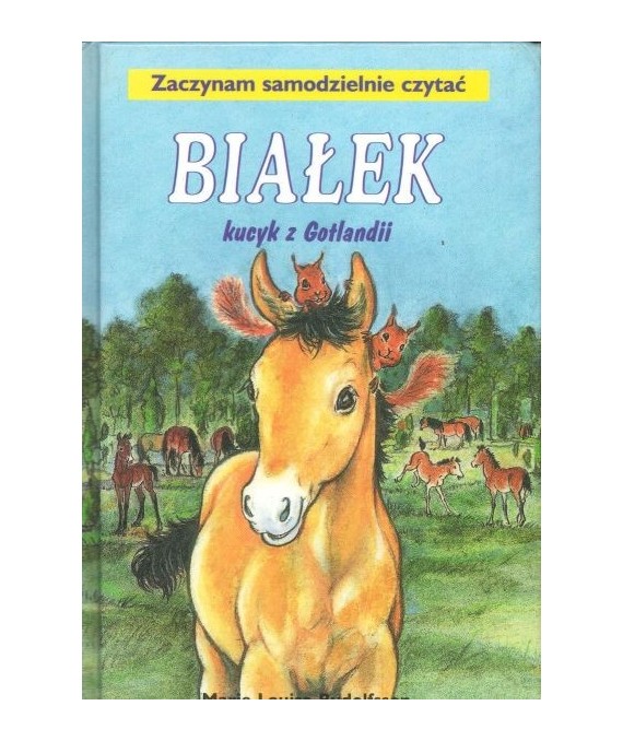 Białek kucyk z Gotlandii