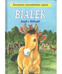 Białek kucyk z Gotlandii