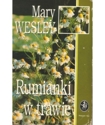 Rumianki w trawie