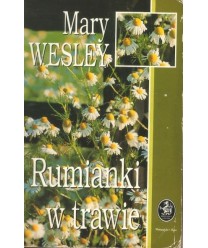 Rumianki w trawie