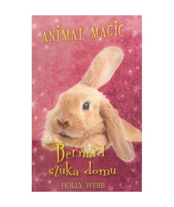 Bernard szuka domu