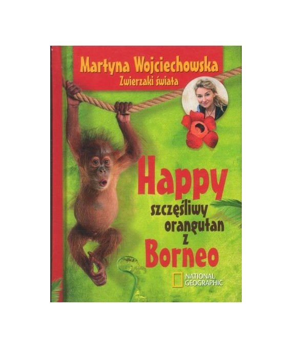 Happy szczęśliwy orangutan z Borneo