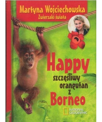 Happy szczęśliwy orangutan z Borneo