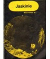 Jaskinie