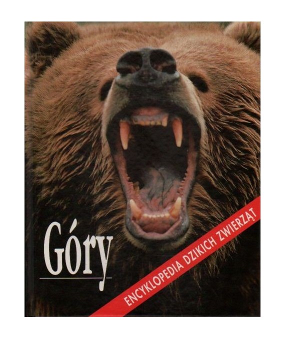 Góry