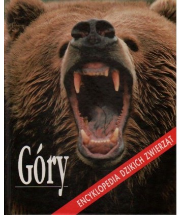 Góry
