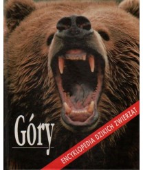 Góry