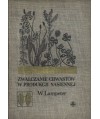 Zwalczanie chwastów w produkcji nasiennej