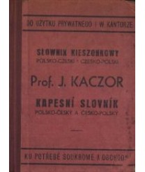 Nowy słownik kieszonkowy polsko-czeski i czesko-polski. Podług najnowszych źródeł i nowej pisowni
