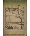 Gottes Bilderbuch