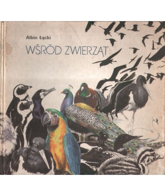 Wśród zwierząt. Ptaki