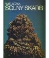 Wieliczka solny skarb