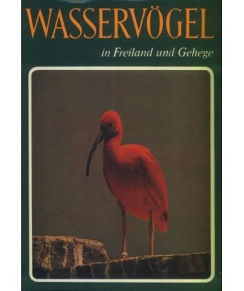 Wasservögel in Treiland und Gehege