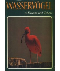 Wasservögel in Treiland und Gehege