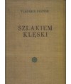 Szlakiem klęski. Powieść