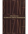 Blizna po cięciu cesarskim. Ocena z punktu widzenia techniki operacyjnej i przyszłości położniczej kobiety